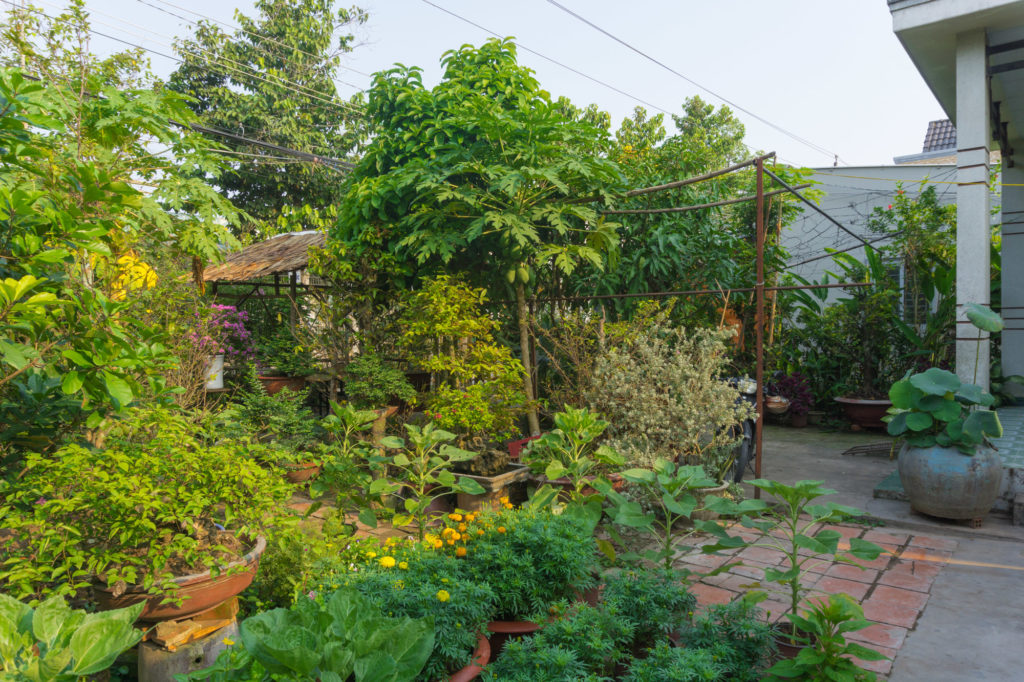 Homestay im Mekong Delta